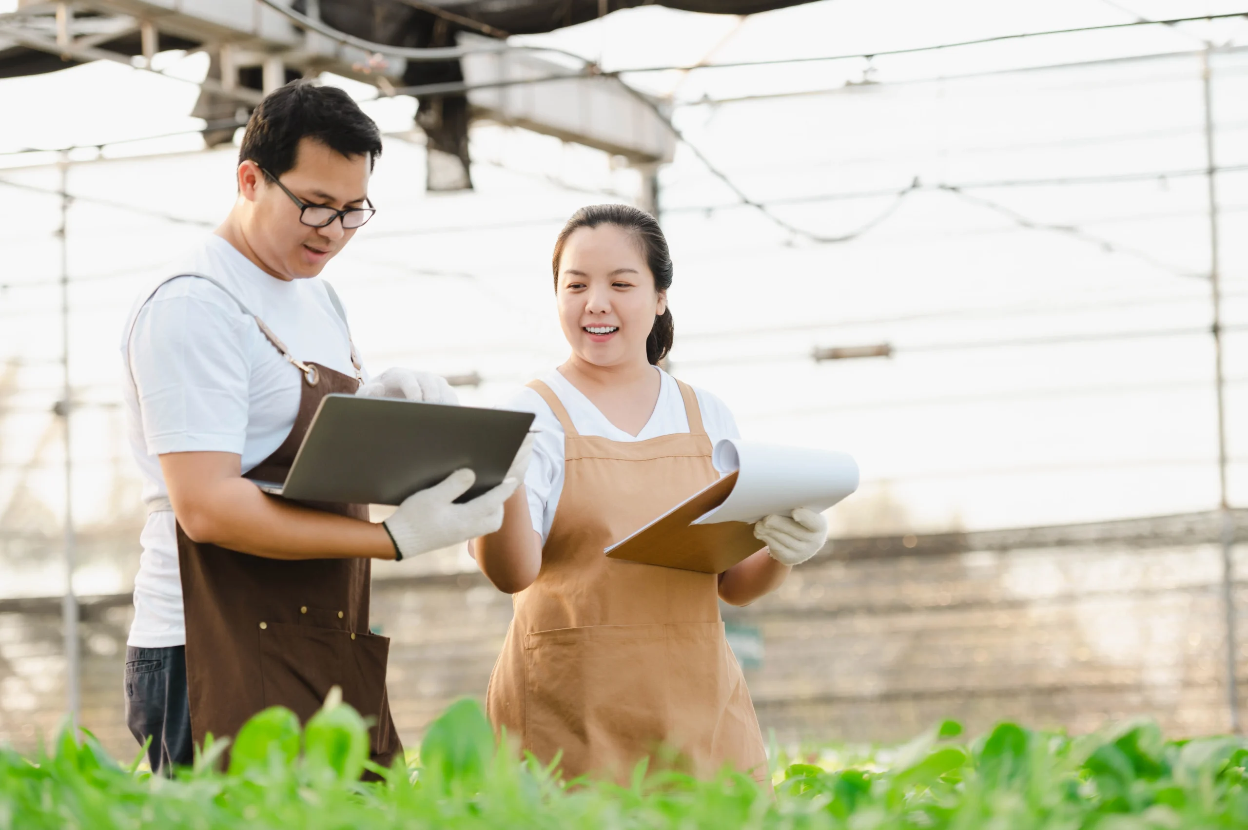 TRAINING AGRICULTURAL SUPPLY CHAIN ACCOUNTING